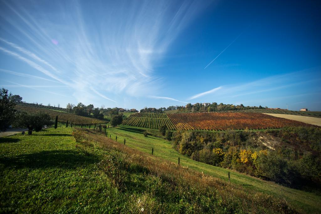 Agriturismo Acetaia Sereni Marano sul Panaro Exterior foto